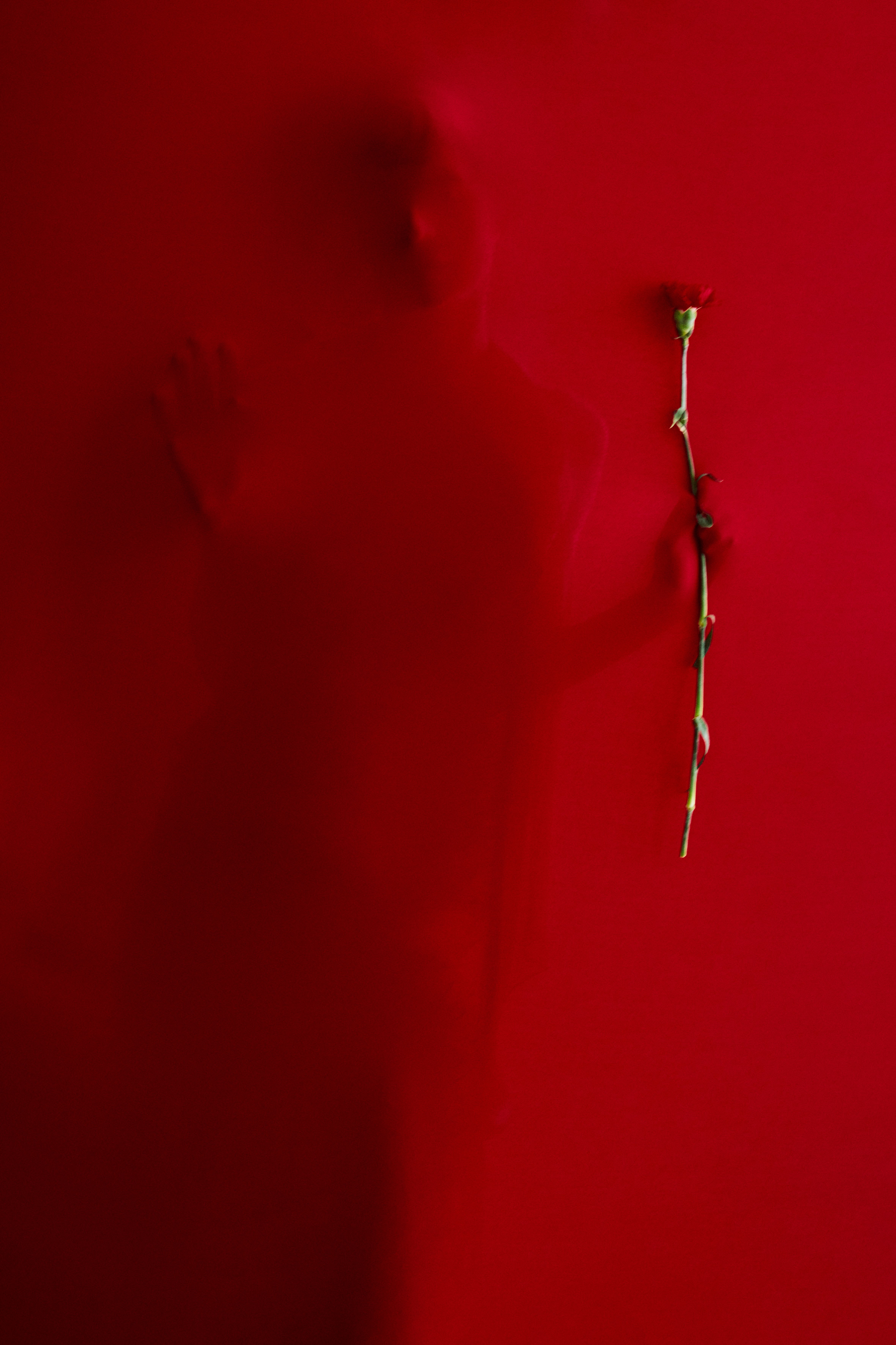Photographer Carlos Teixeira interview by Creative Director Francesca Melchior for SHOT Magazine Issue 17